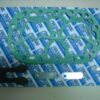 300_rpr0030-2